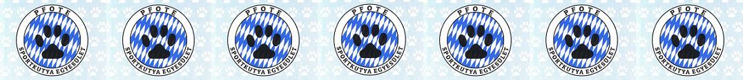 Pfote Sportkutya Egyeslet